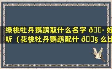 绿桃牡丹鹦鹉取什么名字 🌷 好听（花桃牡丹鹦鹉配什 🐧 么比较好）